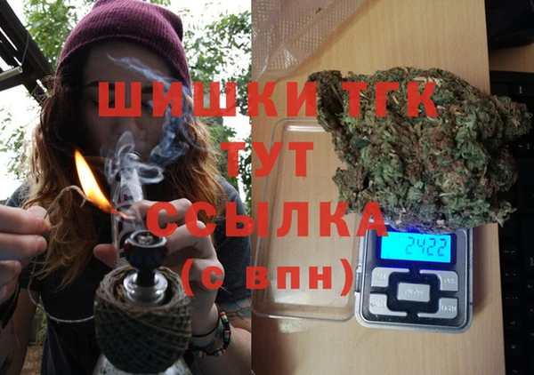 стаф Абинск
