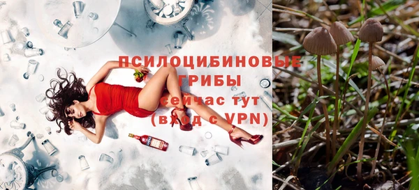 соль ск Алексин