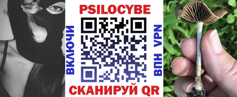 наркота  Шиханы  Псилоцибиновые грибы Psilocybe 